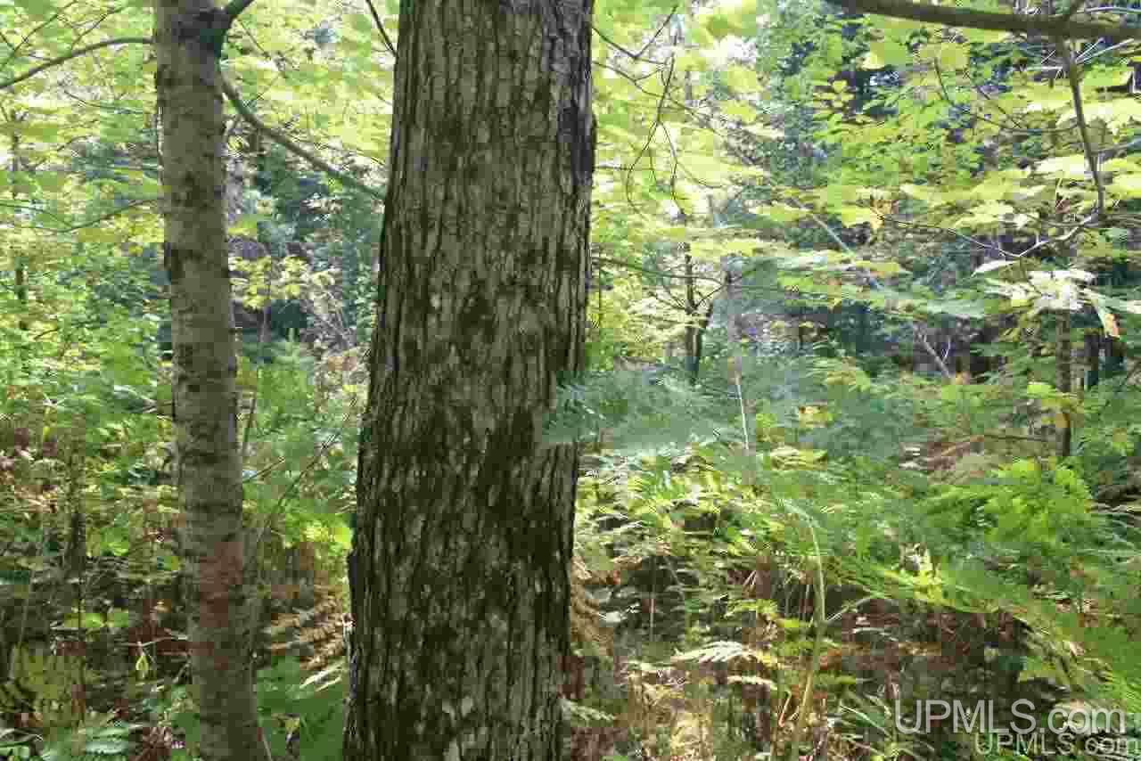 433 Channing Road Crystal Falls, MI 49920 - Photo 22 of 24 Gallery Image 22