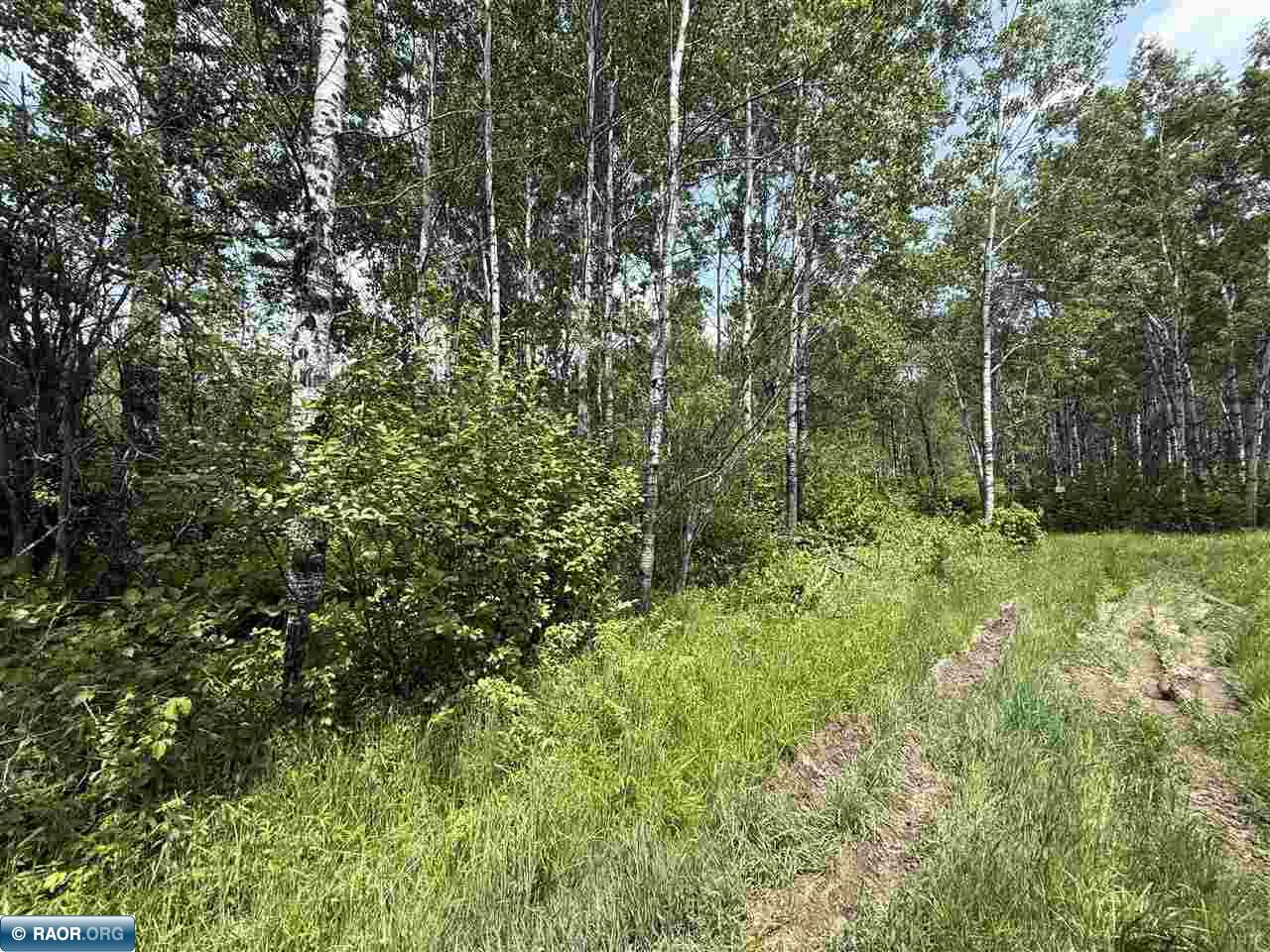 15 Angora Mn 55703 Angora, MN 55703 - Photo 11 of 19