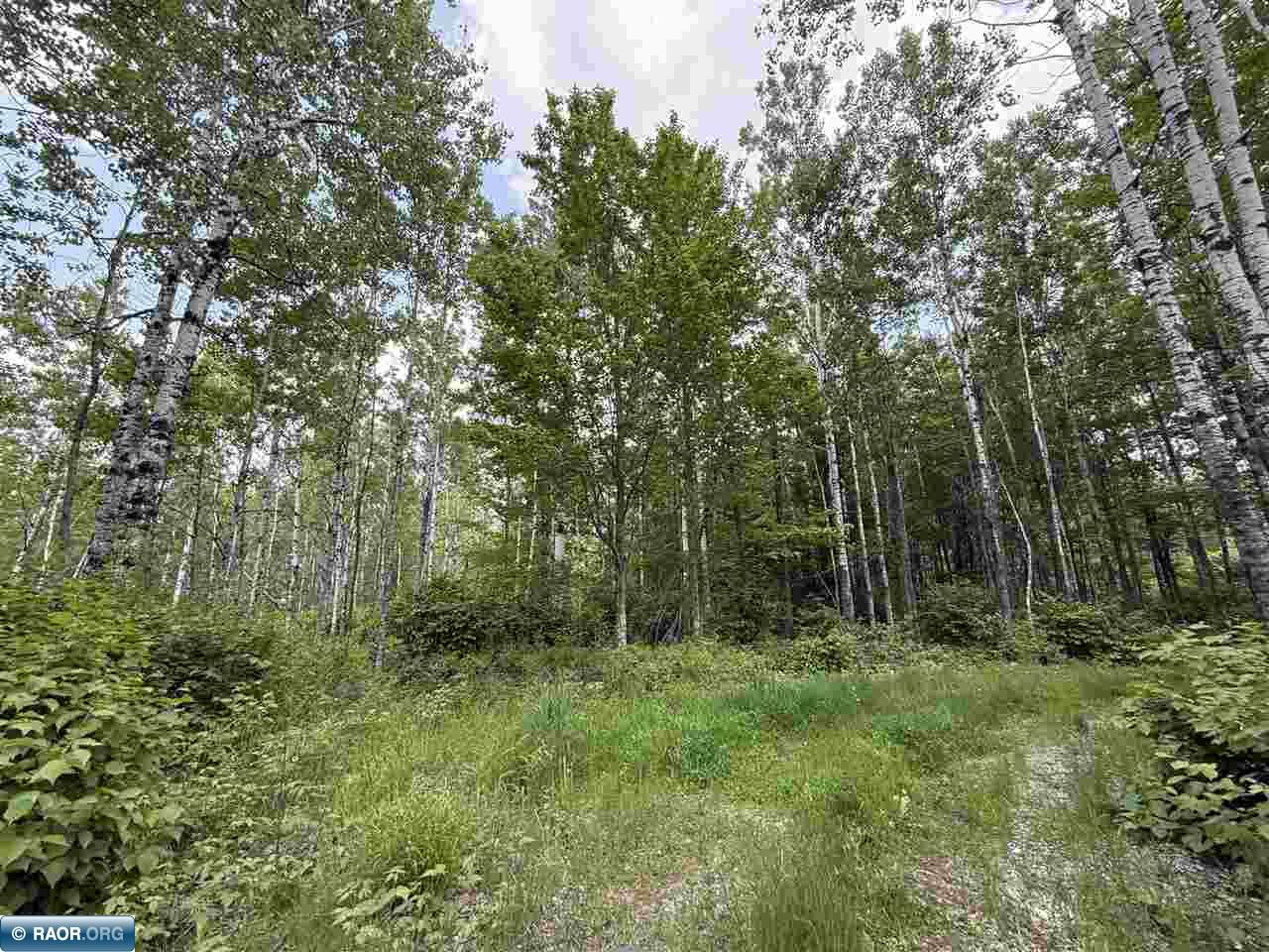 15 Angora Mn 55703 Angora, MN 55703 - Photo 13 of 19