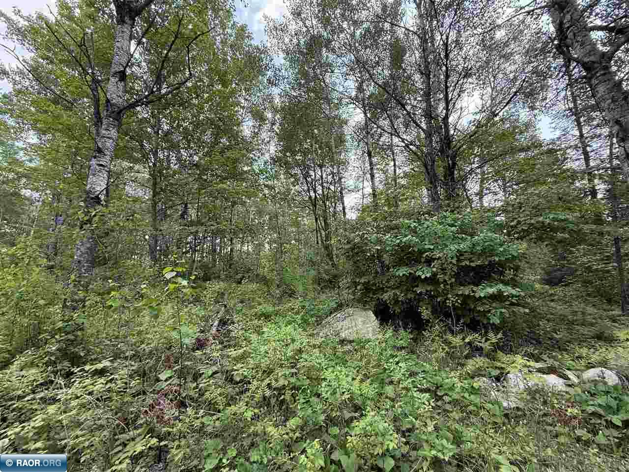 15 Angora Mn 55703 Angora, MN 55703 - Photo 14 of 19