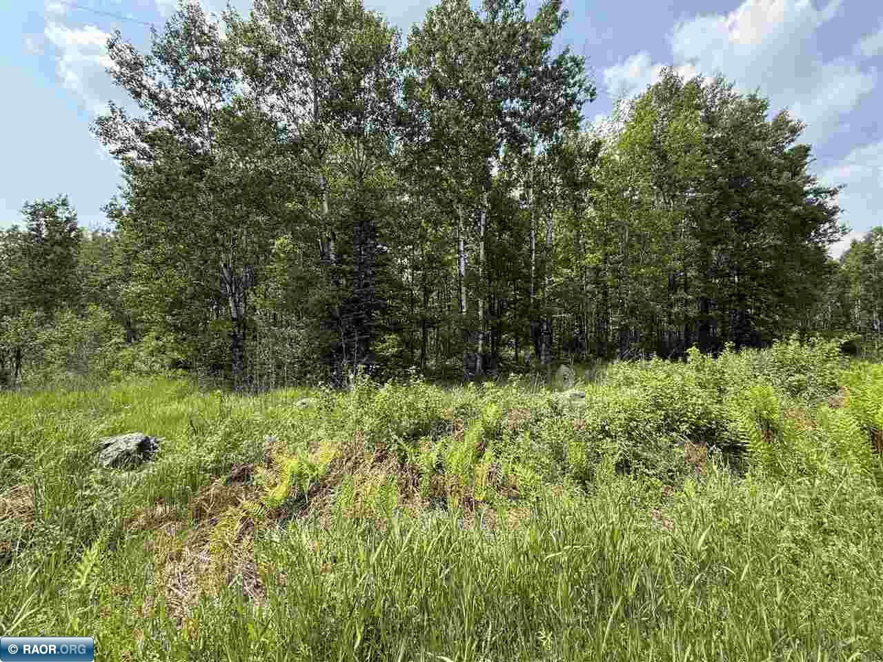 15 Angora Mn 55703 Angora, MN 55703 - Photo 19 of 19