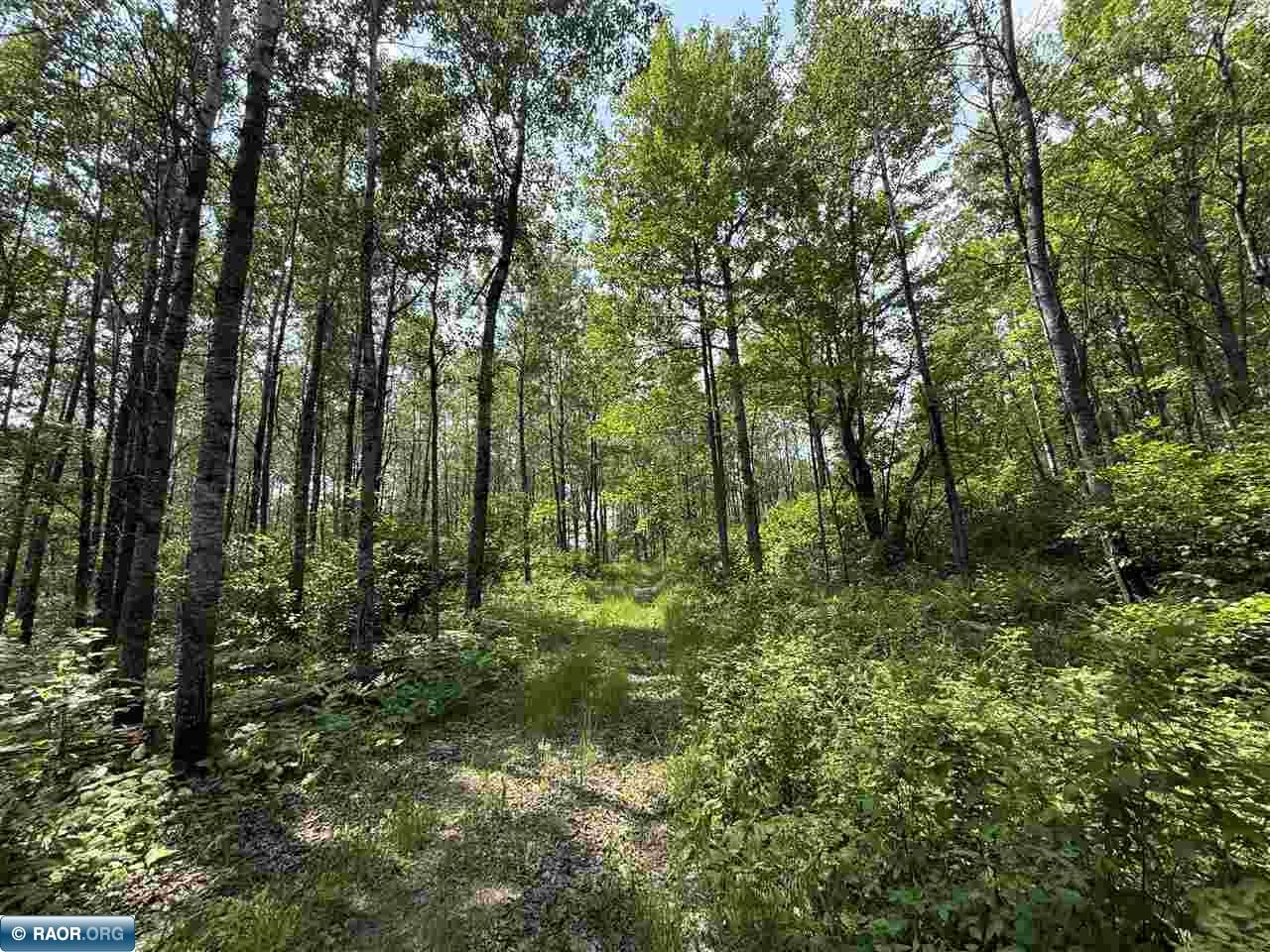 15 Angora Mn 55703 Angora, MN 55703 - Photo 3 of 19