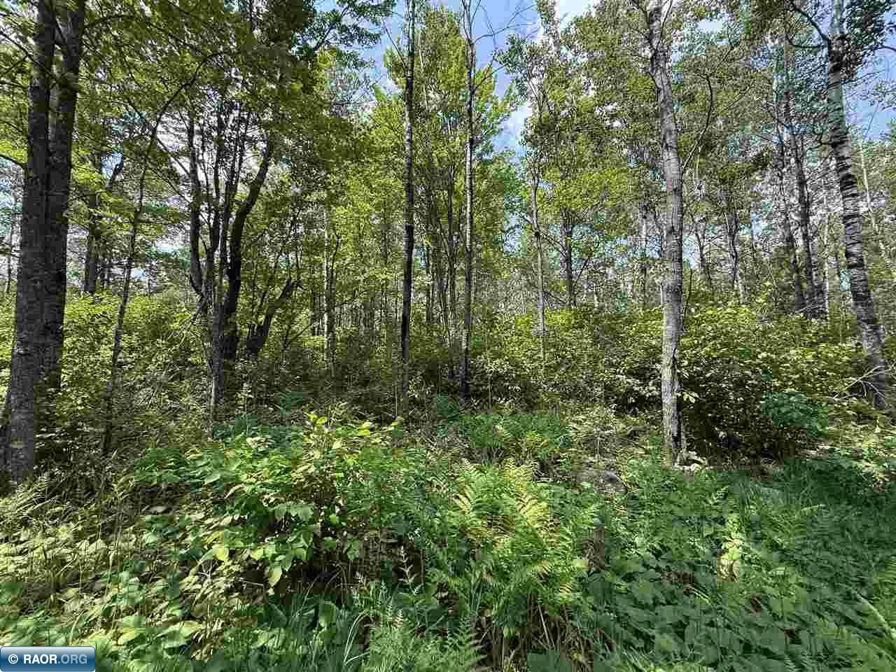15 Angora Mn 55703 Angora, MN 55703 - Photo 4 of 19