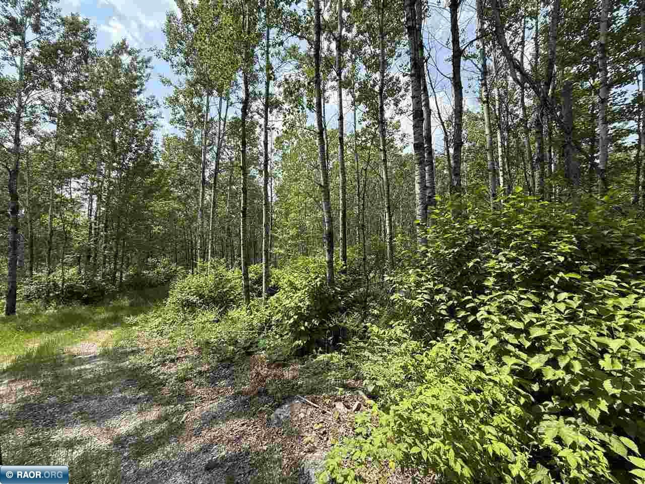 15 Angora Mn 55703 Angora, MN 55703 - Photo 8 of 19
