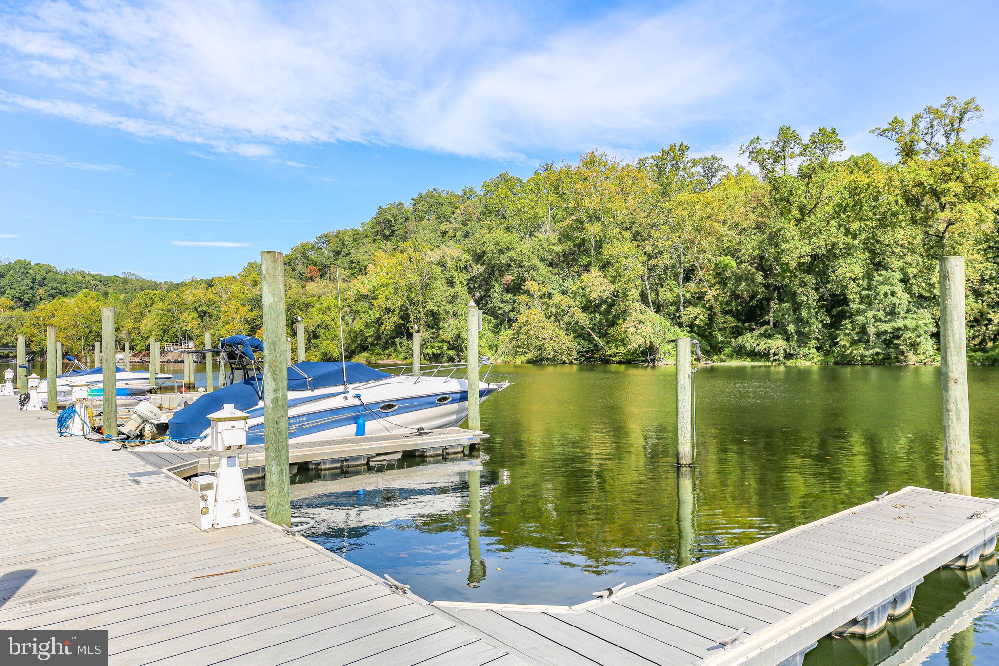 229 Mill Street Occoquan, VA 22125 - Photo 45 of 61 Private Boat Slips
