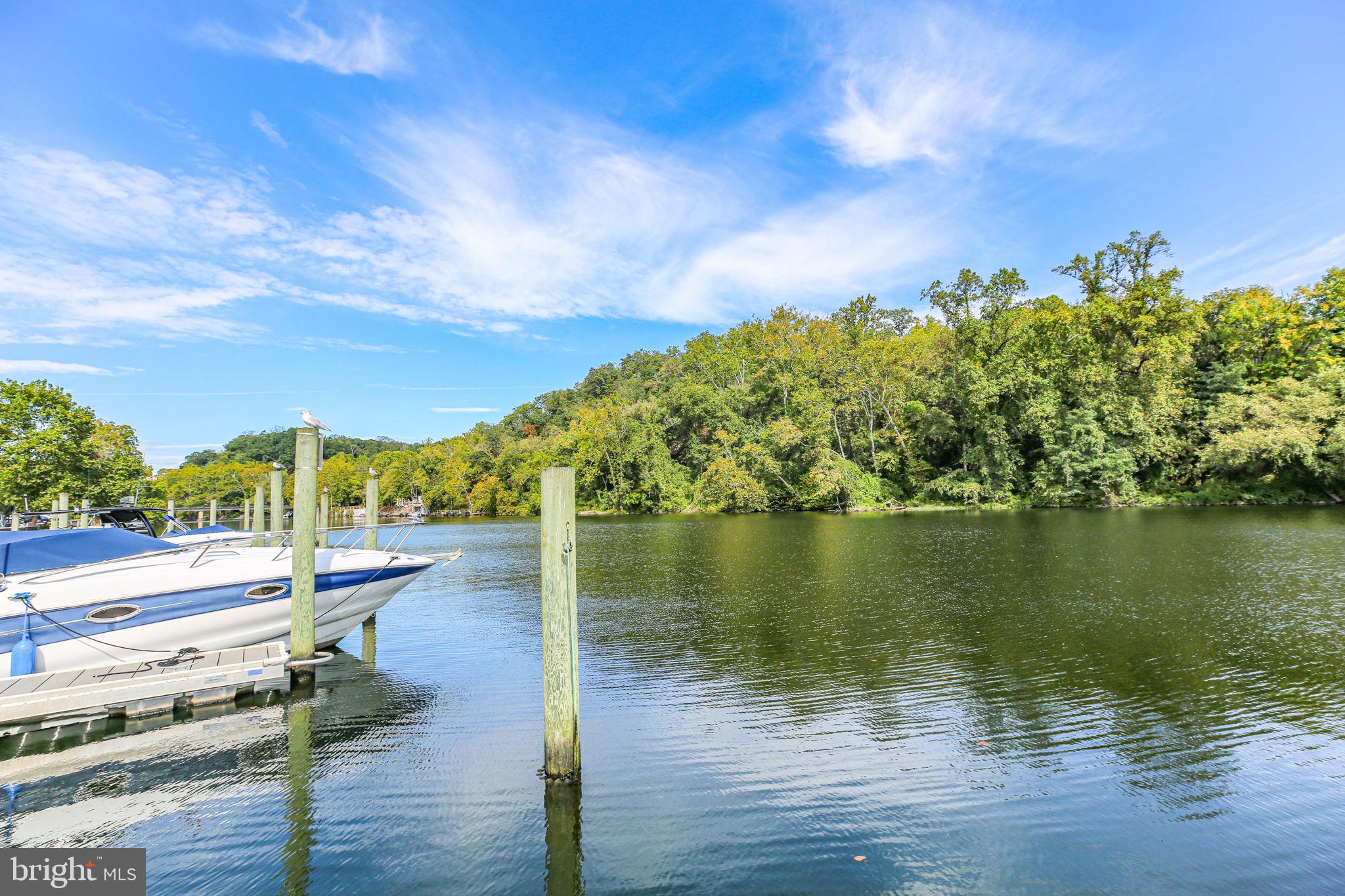 229 Mill Street Occoquan, VA 22125 - Photo 46 of 61 a view of a lake with houses