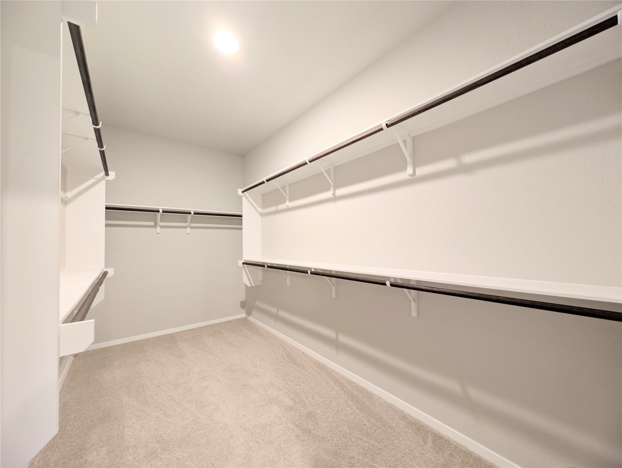 5524 Sacra Cove Austin, TX 78747 - Photo 24 of 37 Walk in closet in the primary bedroom featuring light colored carpet, dark wooden bars