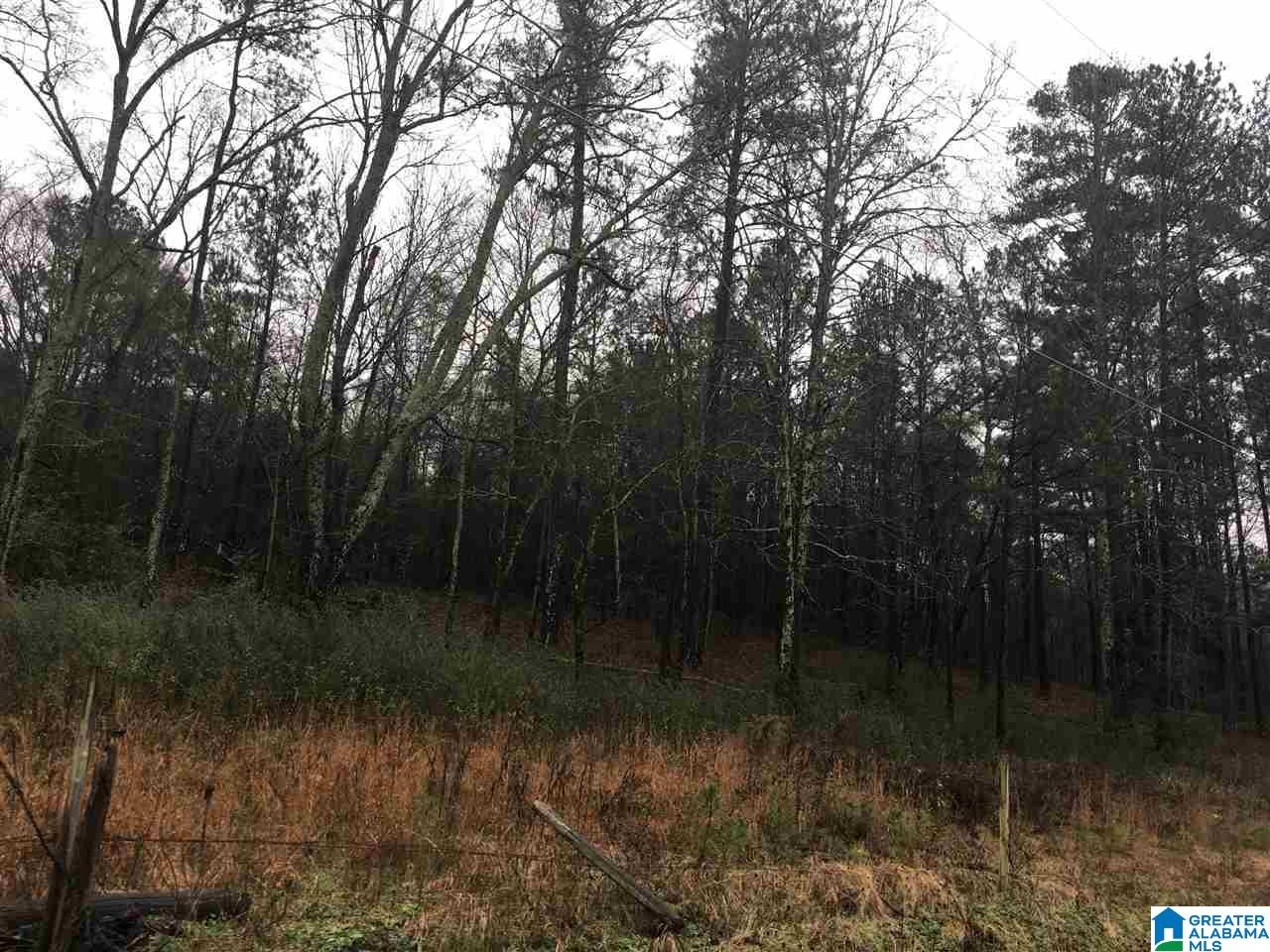 1245 Eureka Road, Unit 2 Lincoln, AL 35096 - Photo 6 of 32