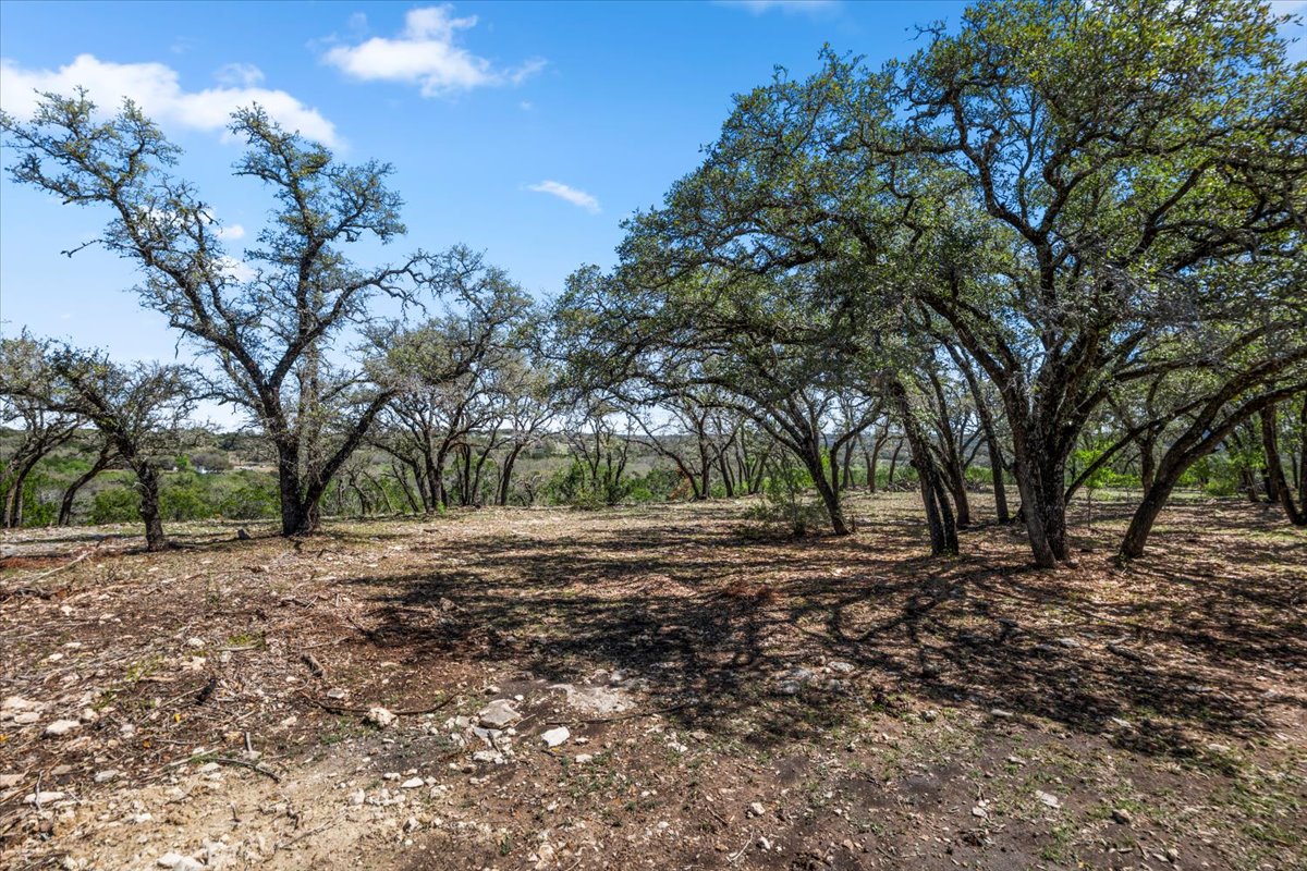 25723 Hamilton Pool Road Round Mountain, TX 78663 - Photo 16 of 32 Top of the hill where we just cleared