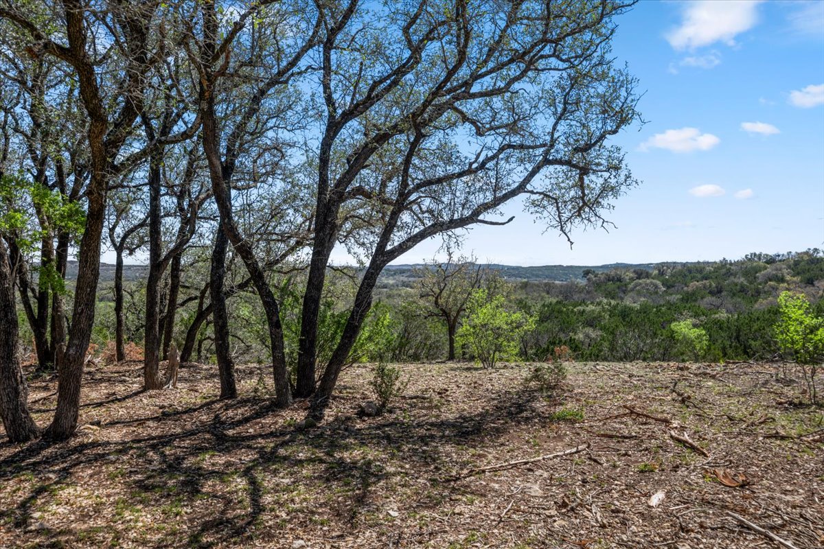 25723 Hamilton Pool Road Round Mountain, TX 78663 - Photo 19 of 32 View of wooded area