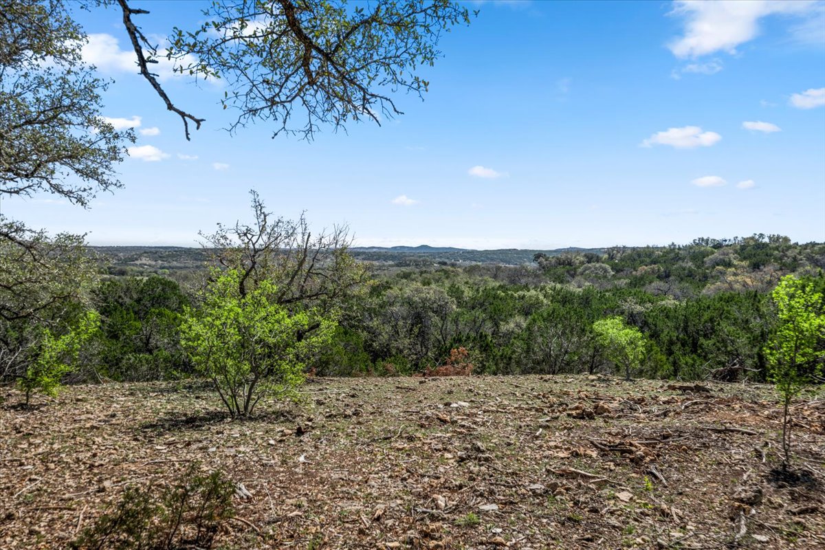 25723 Hamilton Pool Road Round Mountain, TX 78663 - Photo 20 of 32 View of woods