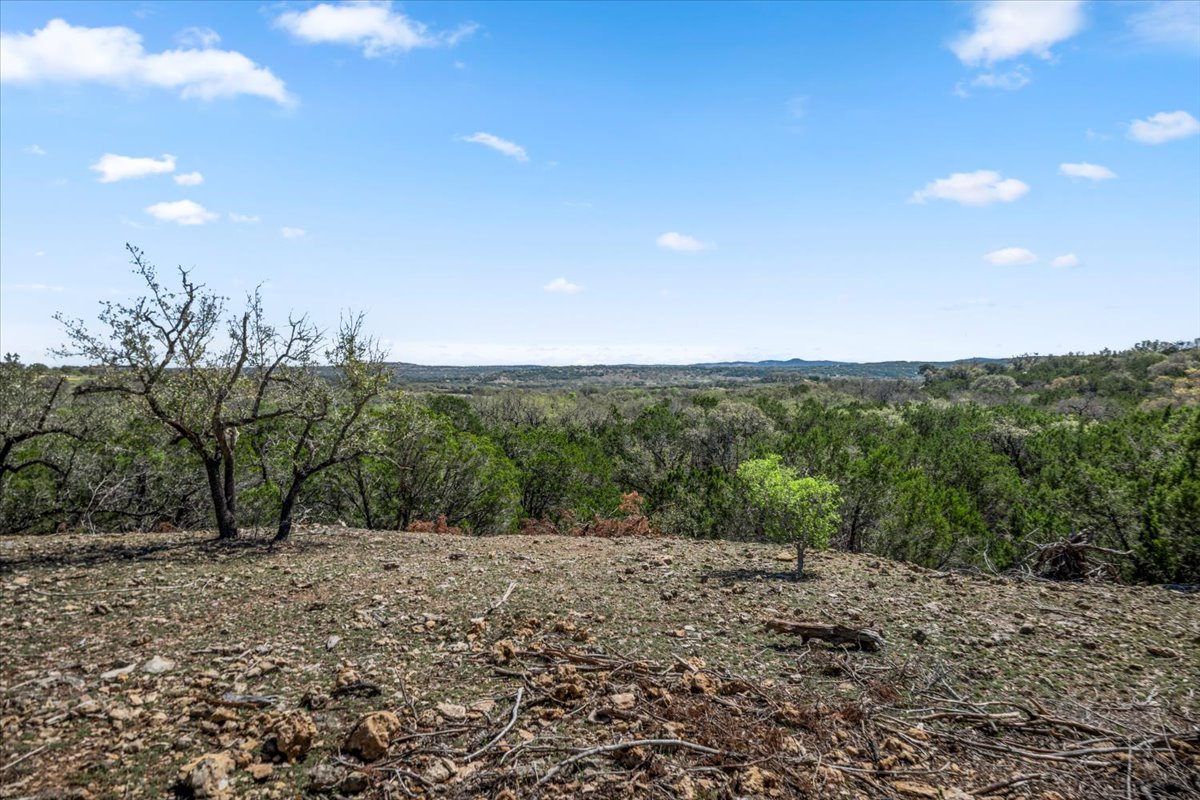 25723 Hamilton Pool Road Round Mountain, TX 78663 - Photo 21 of 32 View of wooded area