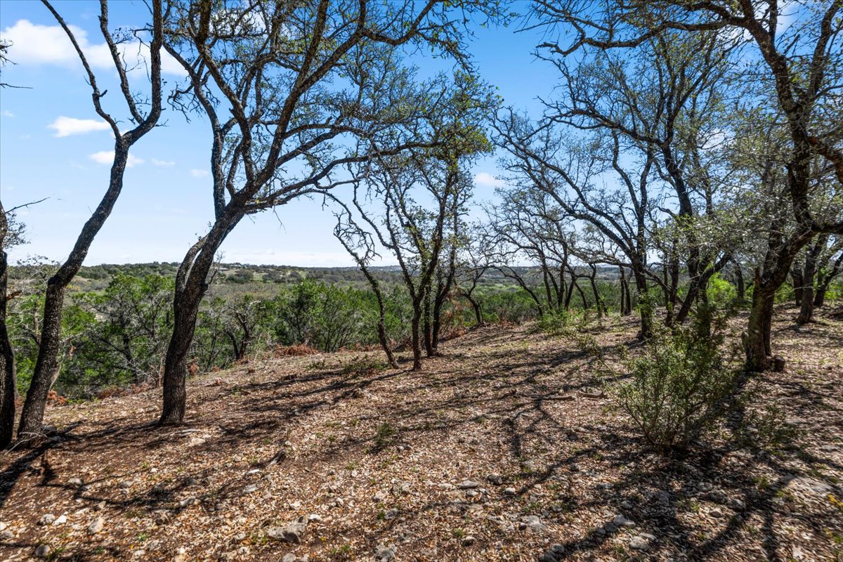 25723 Hamilton Pool Road Round Mountain, TX 78663 - Photo 22 of 32 View of local wilderness