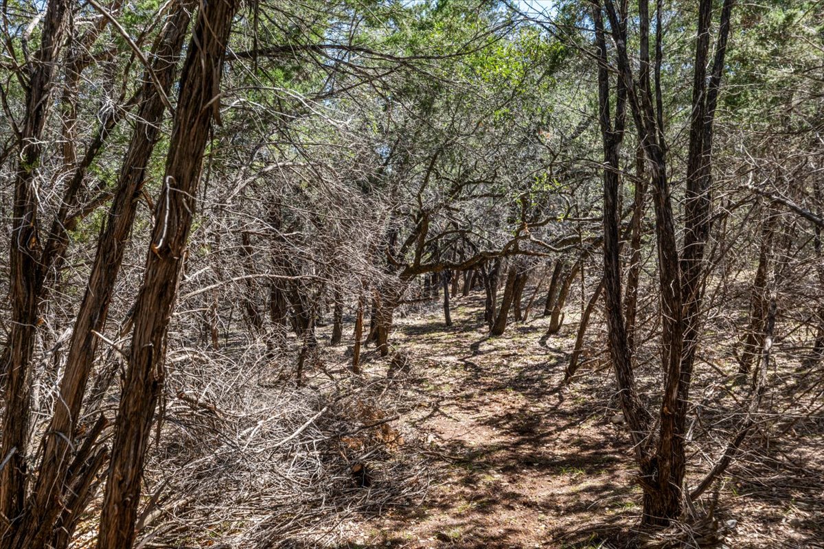 25723 Hamilton Pool Road Round Mountain, TX 78663 - Photo 23 of 32 Lots of hiking trails