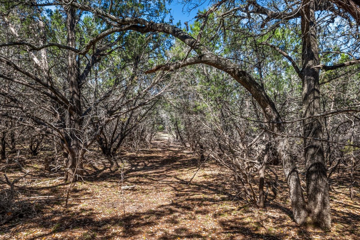 25723 Hamilton Pool Road Round Mountain, TX 78663 - Photo 25 of 32 Take a hike