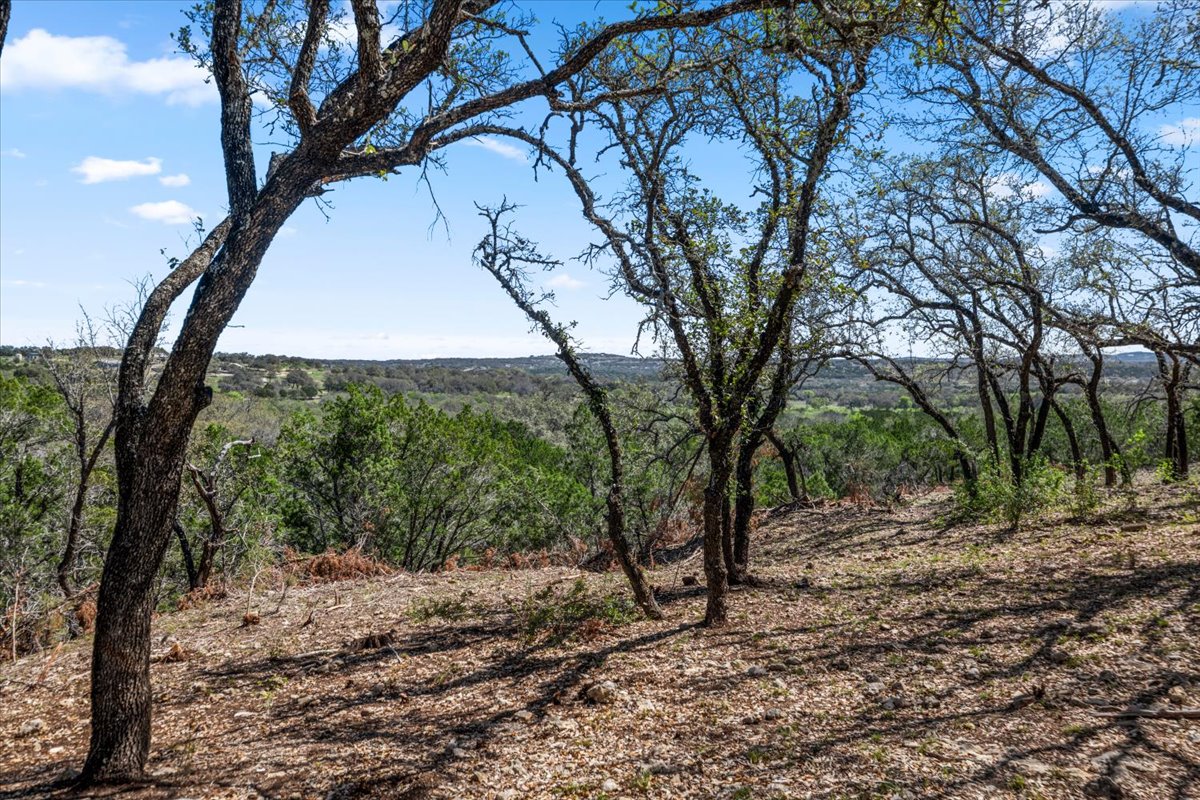 25723 Hamilton Pool Road Round Mountain, TX 78663 - Photo 29 of 32 View of woods
