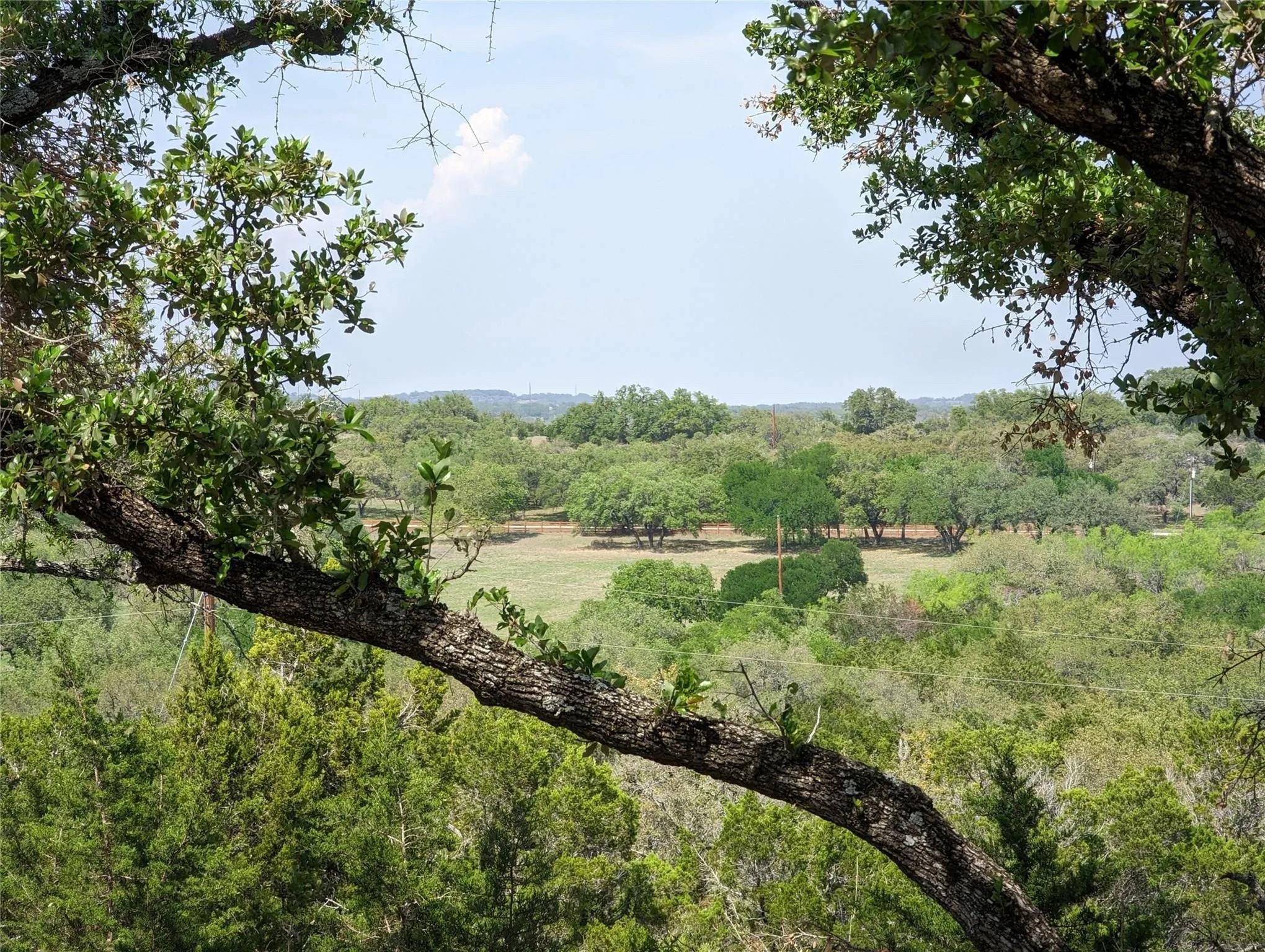 25723 Hamilton Pool Road Round Mountain, TX 78663 - Photo 30 of 32 View of undeveloped land featuring rural landscape