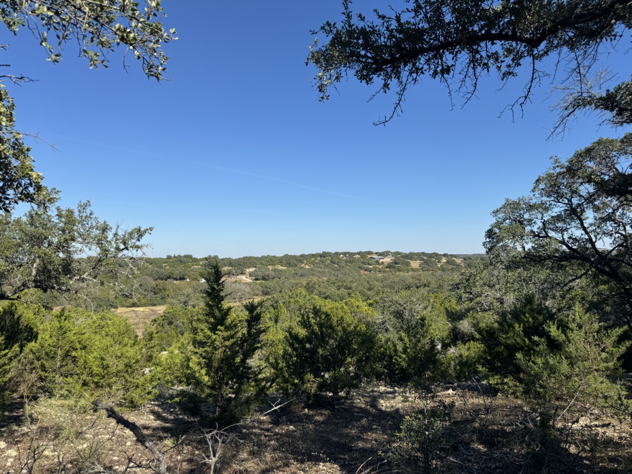 25723 Hamilton Pool Road Round Mountain, TX 78663 - Photo 31 of 32 View of wooded area