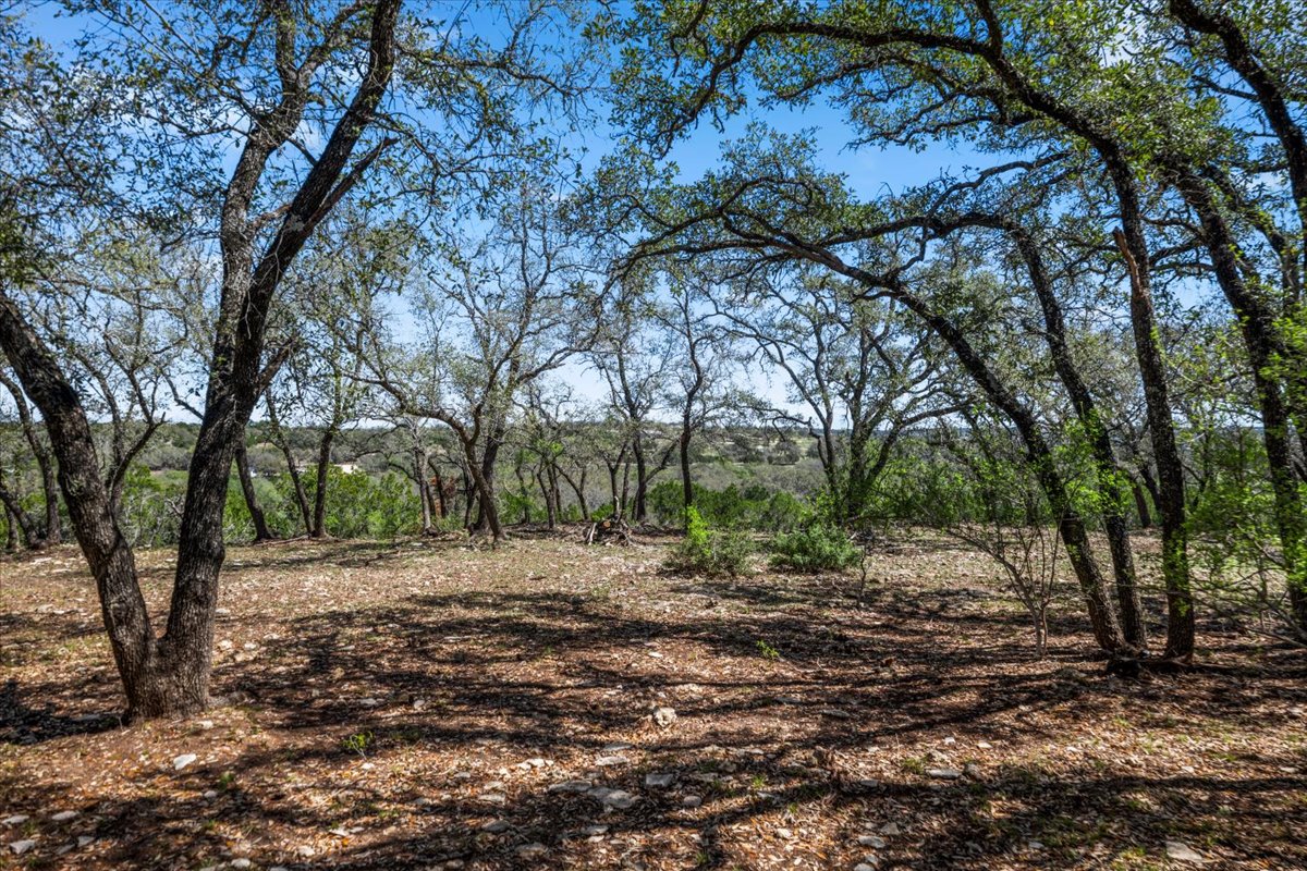 25723 Hamilton Pool Road Round Mountain, TX 78663 - Photo 9 of 32 Heavily wooded with oaks