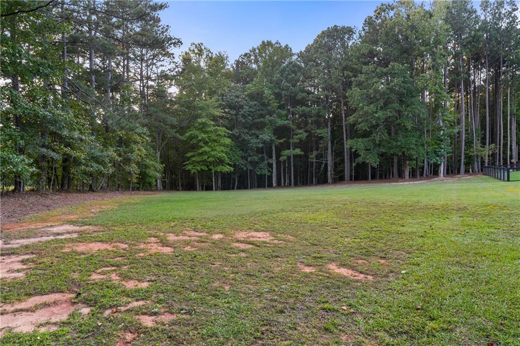 7255 Old Rico Road Chattahoochee Hills, GA 30268 - Photo 66 of 78 a view of a field with trees in the background