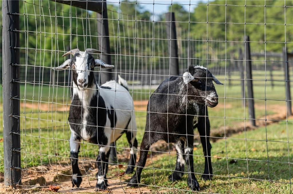 7255 Old Rico Road Chattahoochee Hills, GA 30268 - Photo 69 of 78