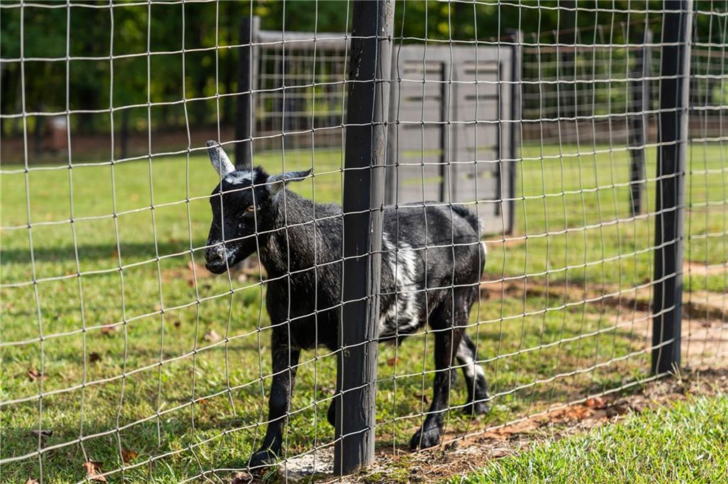 7255 Old Rico Road Chattahoochee Hills, GA 30268 - Photo 70 of 78