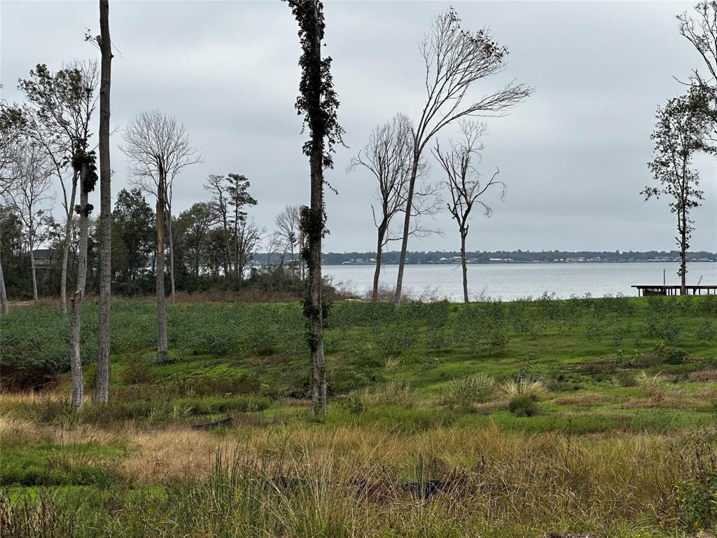 0 Bankside Livingston, TX 77351 - Photo 2 of 6 a view of lake with green space