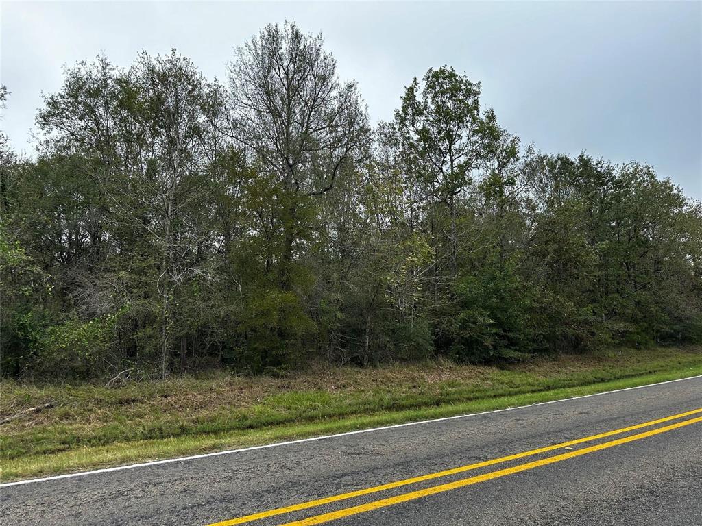 0 Bankside Livingston, TX 77351 - Photo 3 of 6 a view of a yard