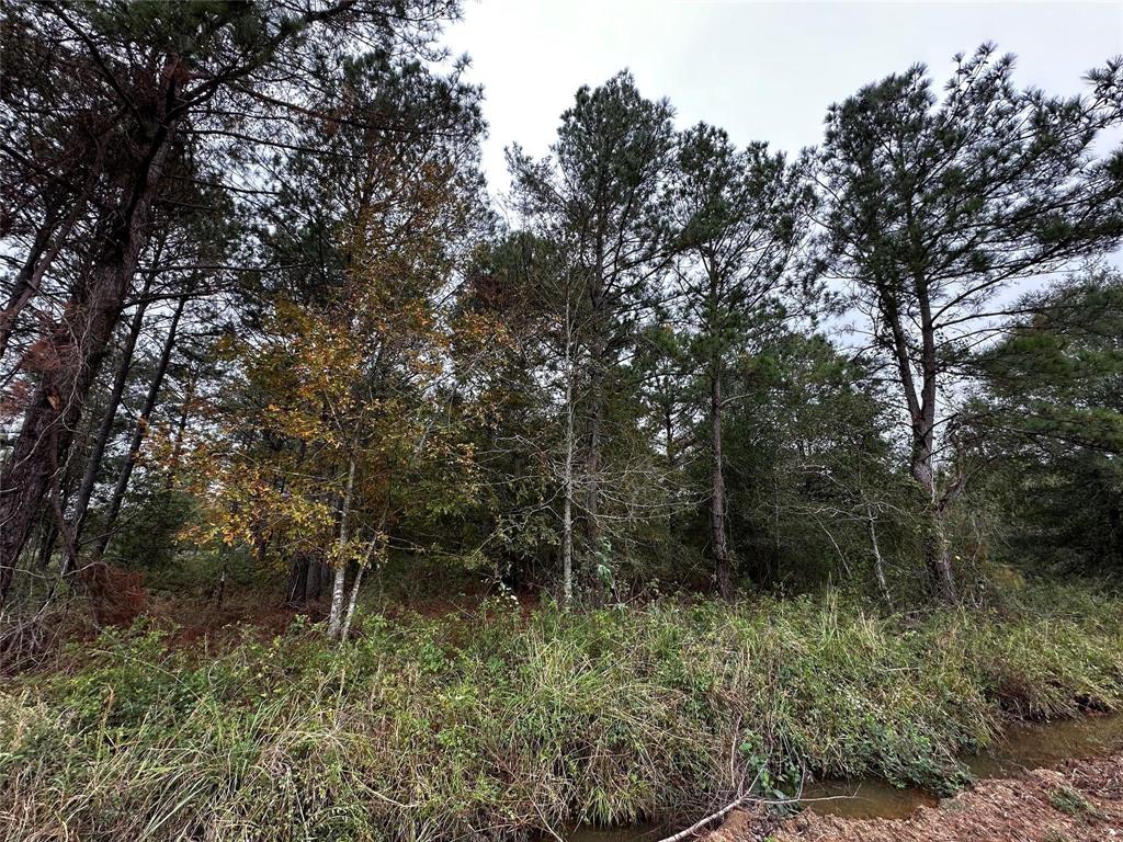 0 Bankside Livingston, TX 77351 - Photo 6 of 6 a view of outdoor space and green space