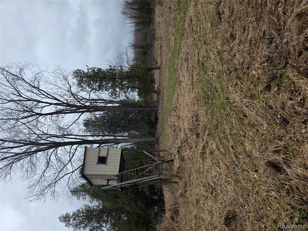 0 Martus Road Lapeer, MI 48446 - Photo 6 of 19