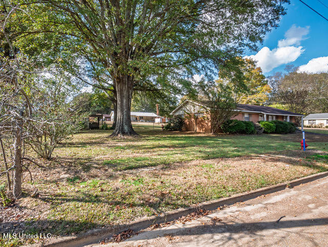 218 Edwin Circle Sardis, MS 38666 - Photo 25 of 39 218 Edwin Cir Sardis MS_2025-11-14_24