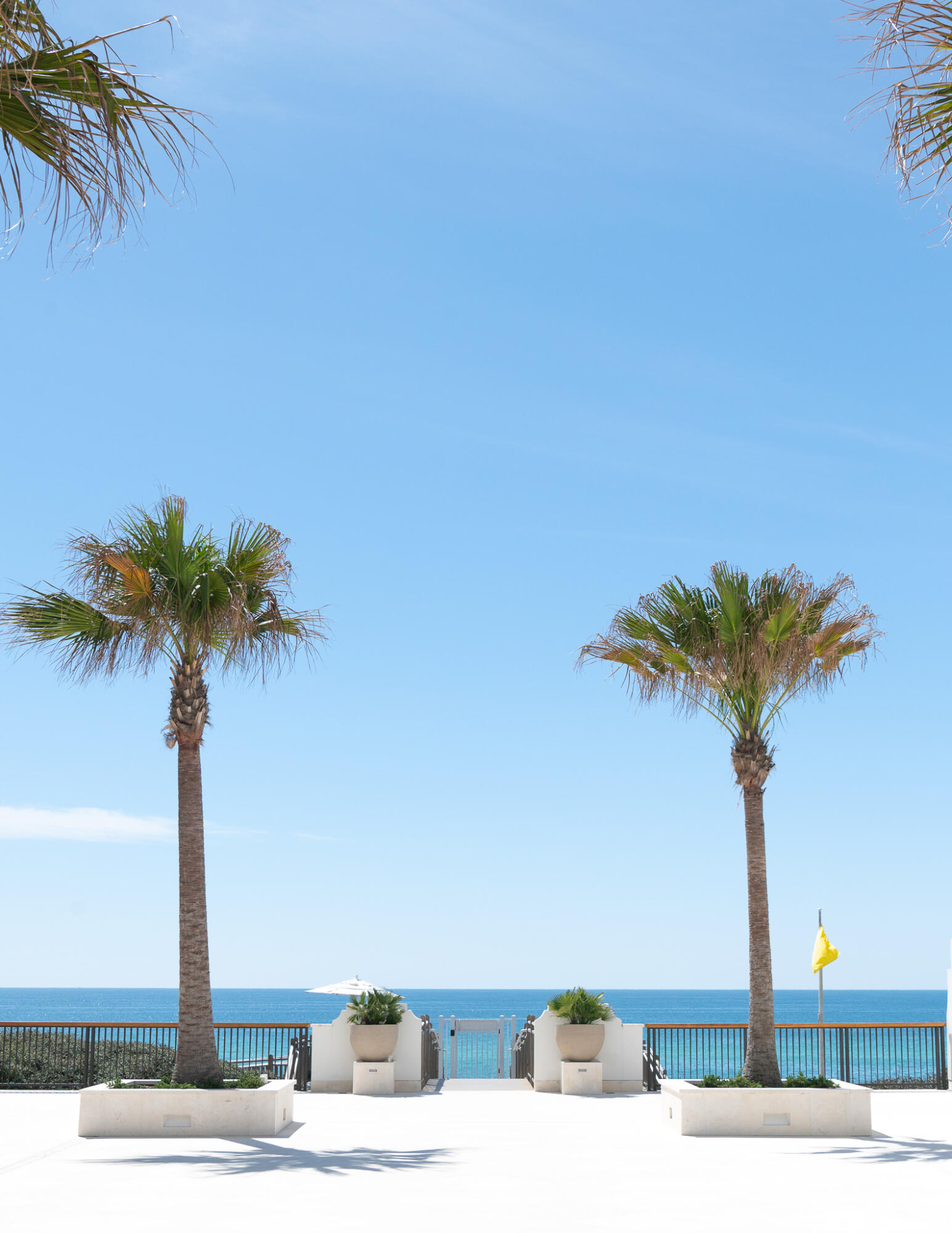 290 Sea Garden St Inlet Beach, Unit 402 Inlet Beach, FL 32461 - Photo 33 of 43 a vase of flowers sitting on a table with potted plants