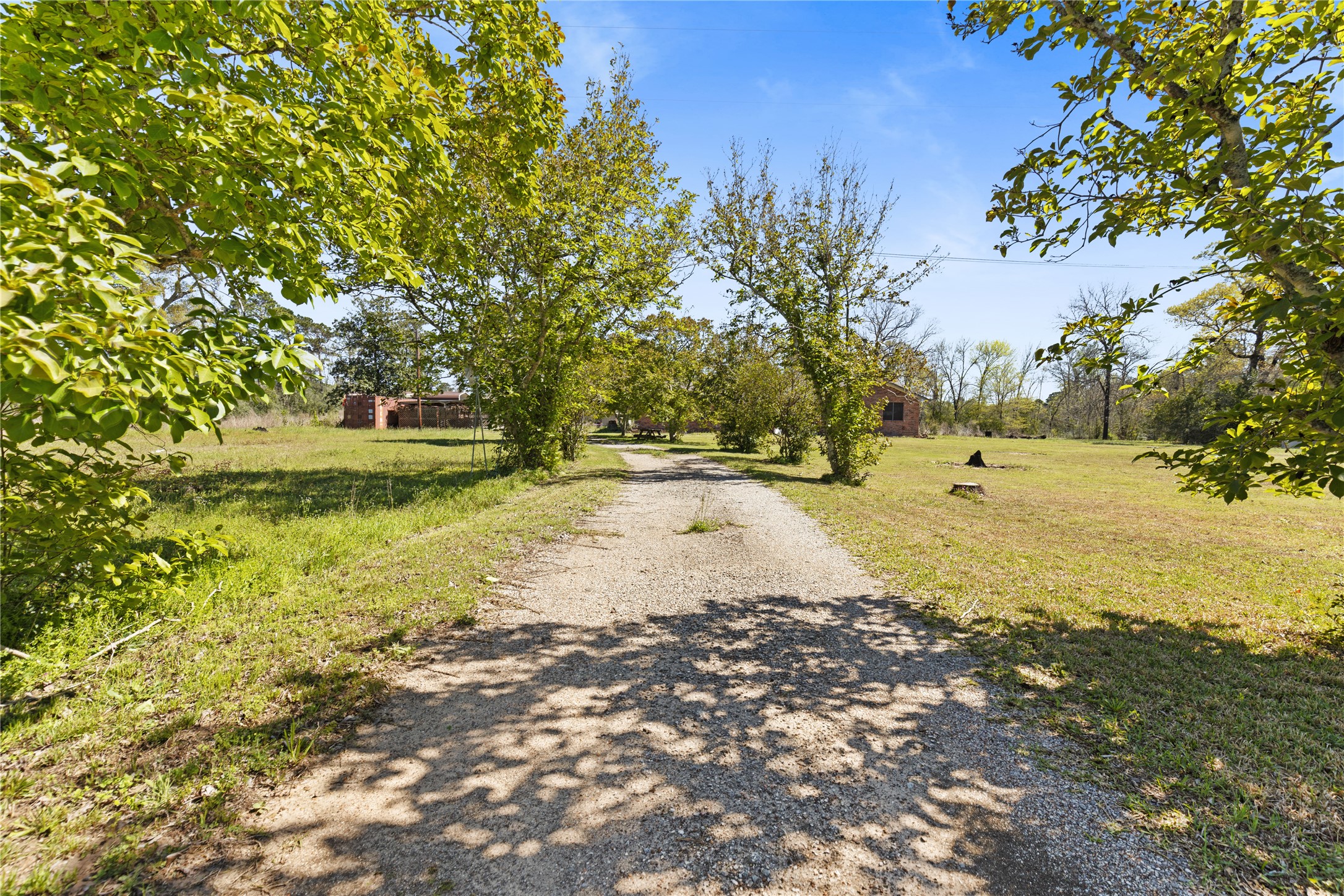 18125 FM 1484 Road Conroe, TX 77303 - Photo 4 of 16