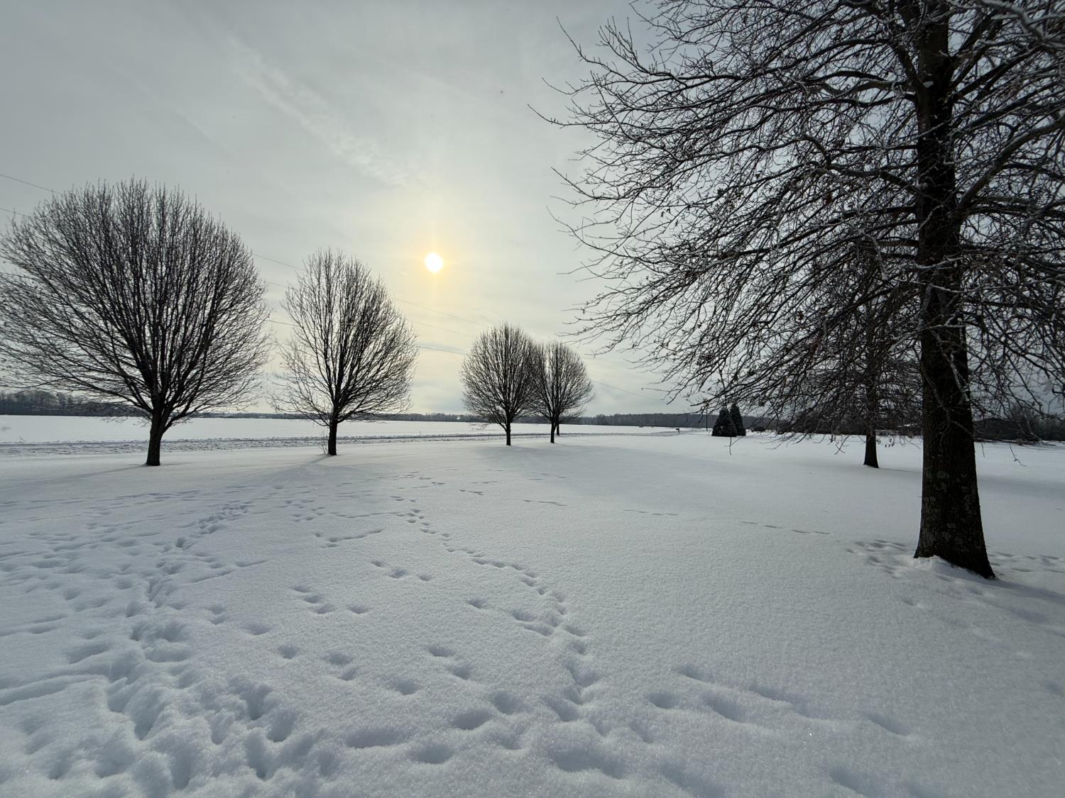 13349 Levell Road Bennington, IN 47011 - Photo 41 of 58