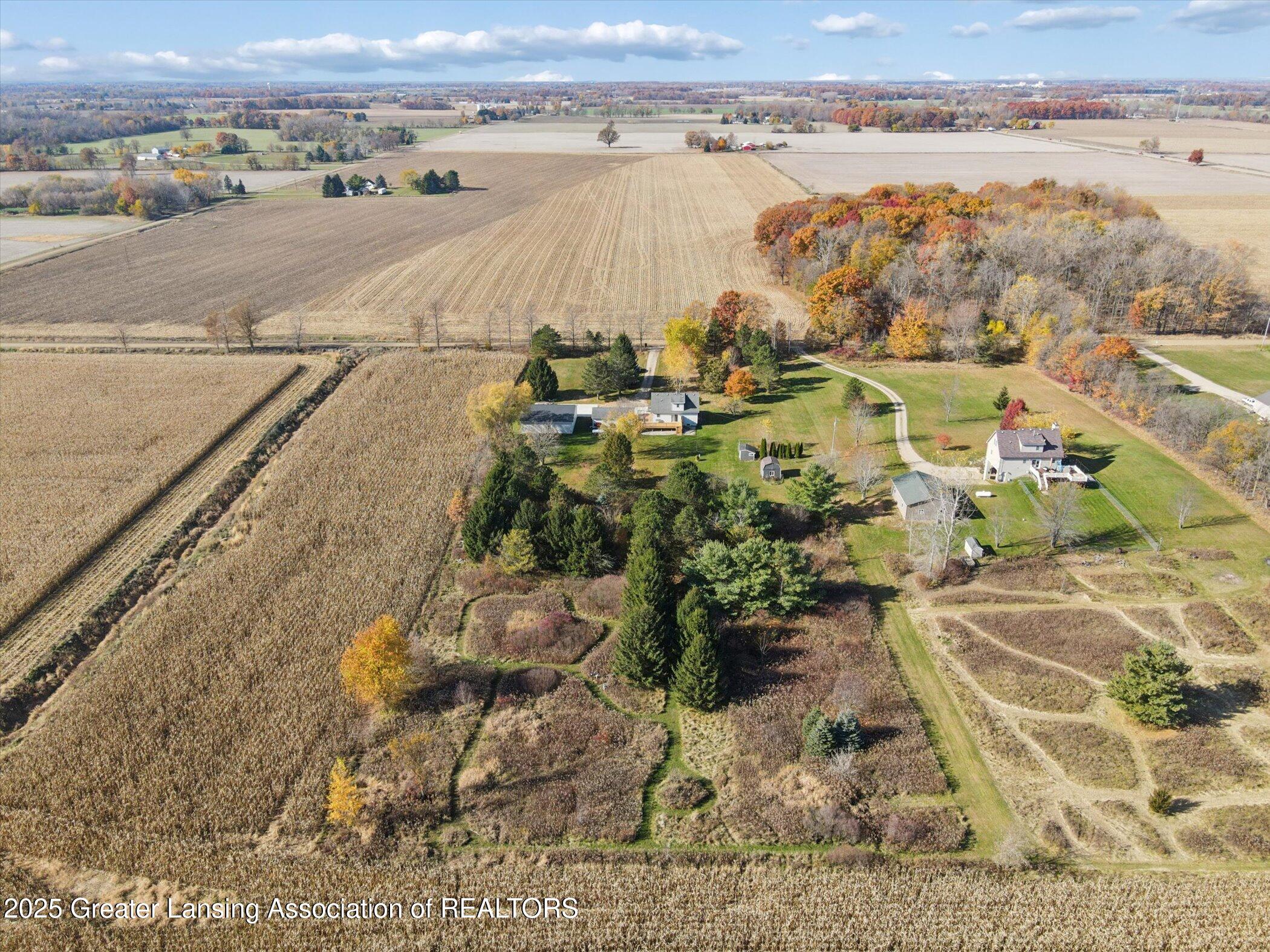 1325 South Watson Road St. Johns, MI 48879 - Photo 55 of 65 Aerial