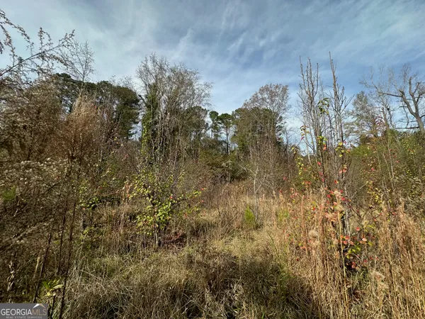 a view of a tree in a yard