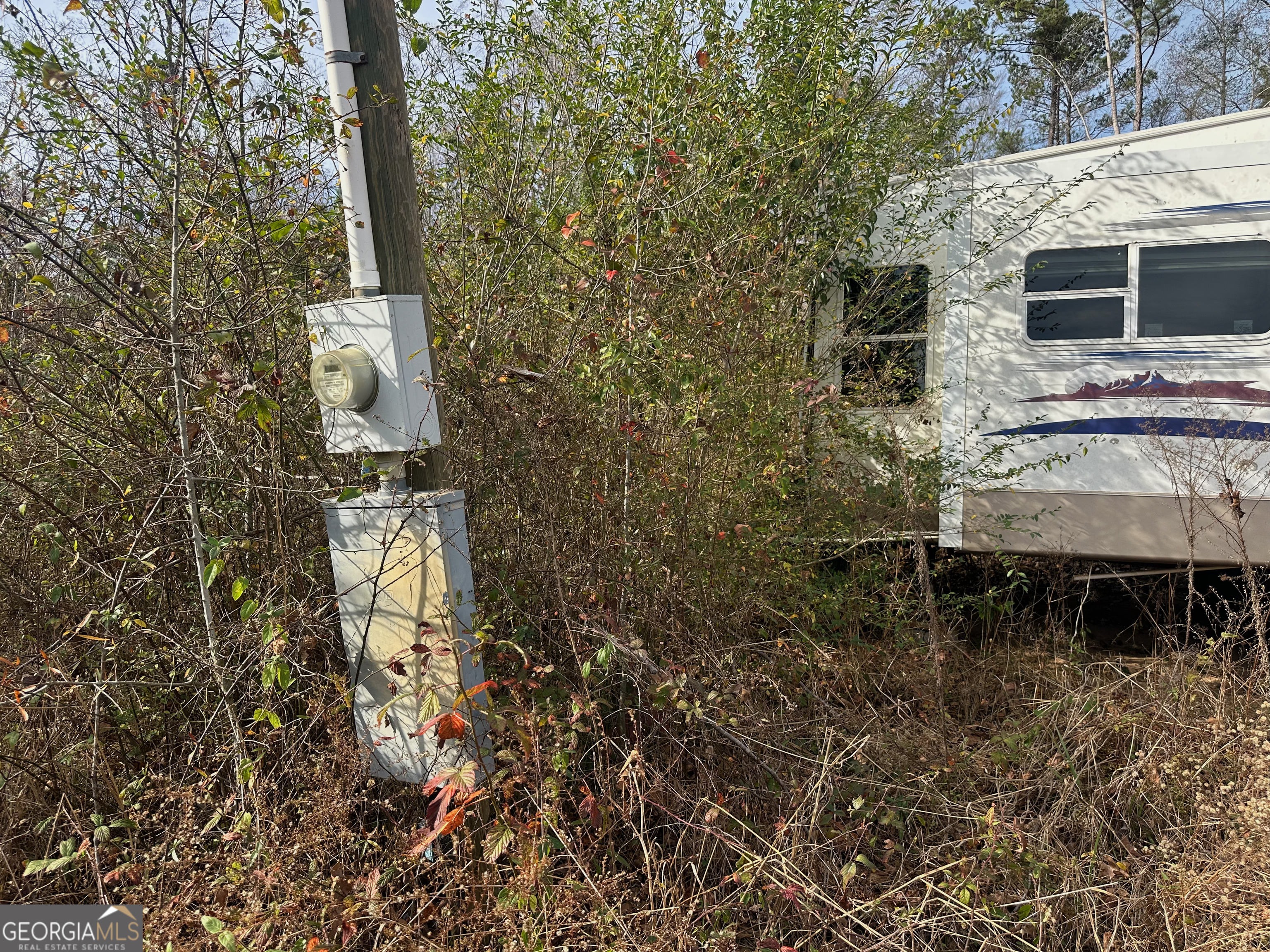 567 George W Towns Road Talbotton, GA 31827 - Photo 5 of 8 a backyard of a house with table and chairs