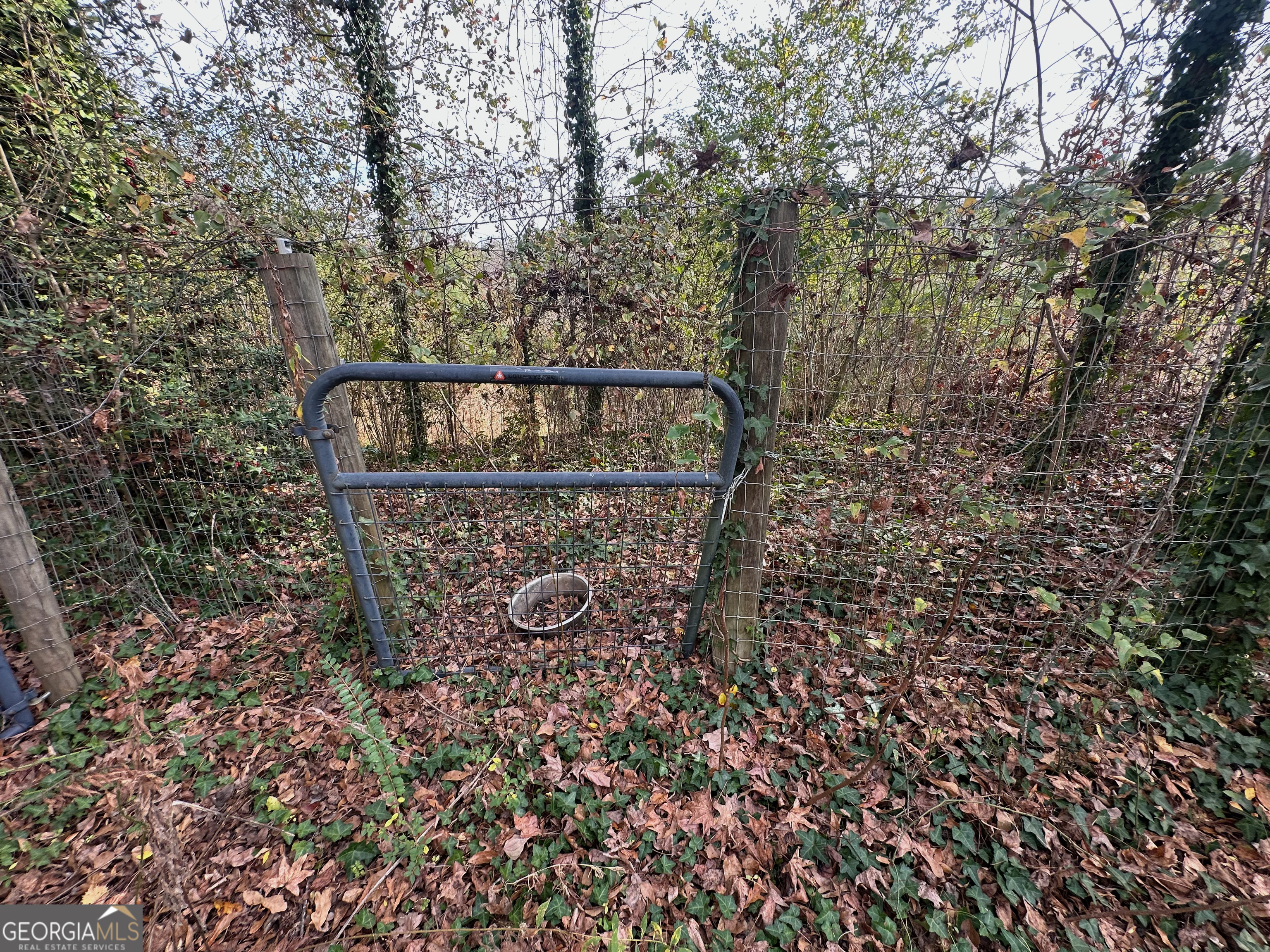567 George W Towns Road Talbotton, GA 31827 - Photo 7 of 8 a view of entryway with outdoor space