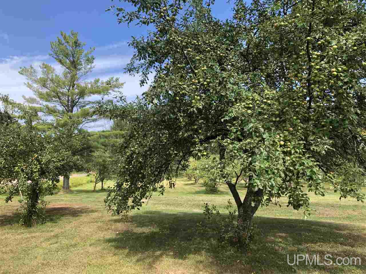 165 Town Line Road Skandia, MI 49885 - Photo 8 of 32