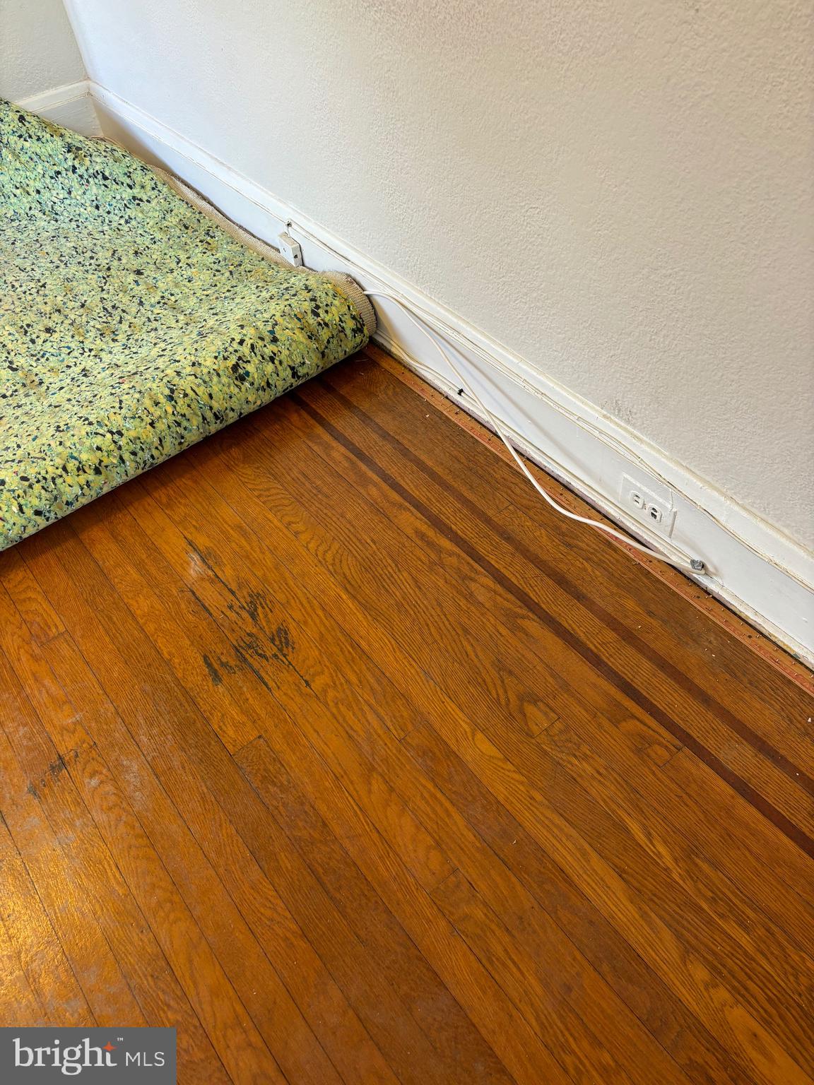 3605 Ellamont Road Baltimore, MD 21215 - Photo 27 of 32 Protected by the shag carpet for likely many year