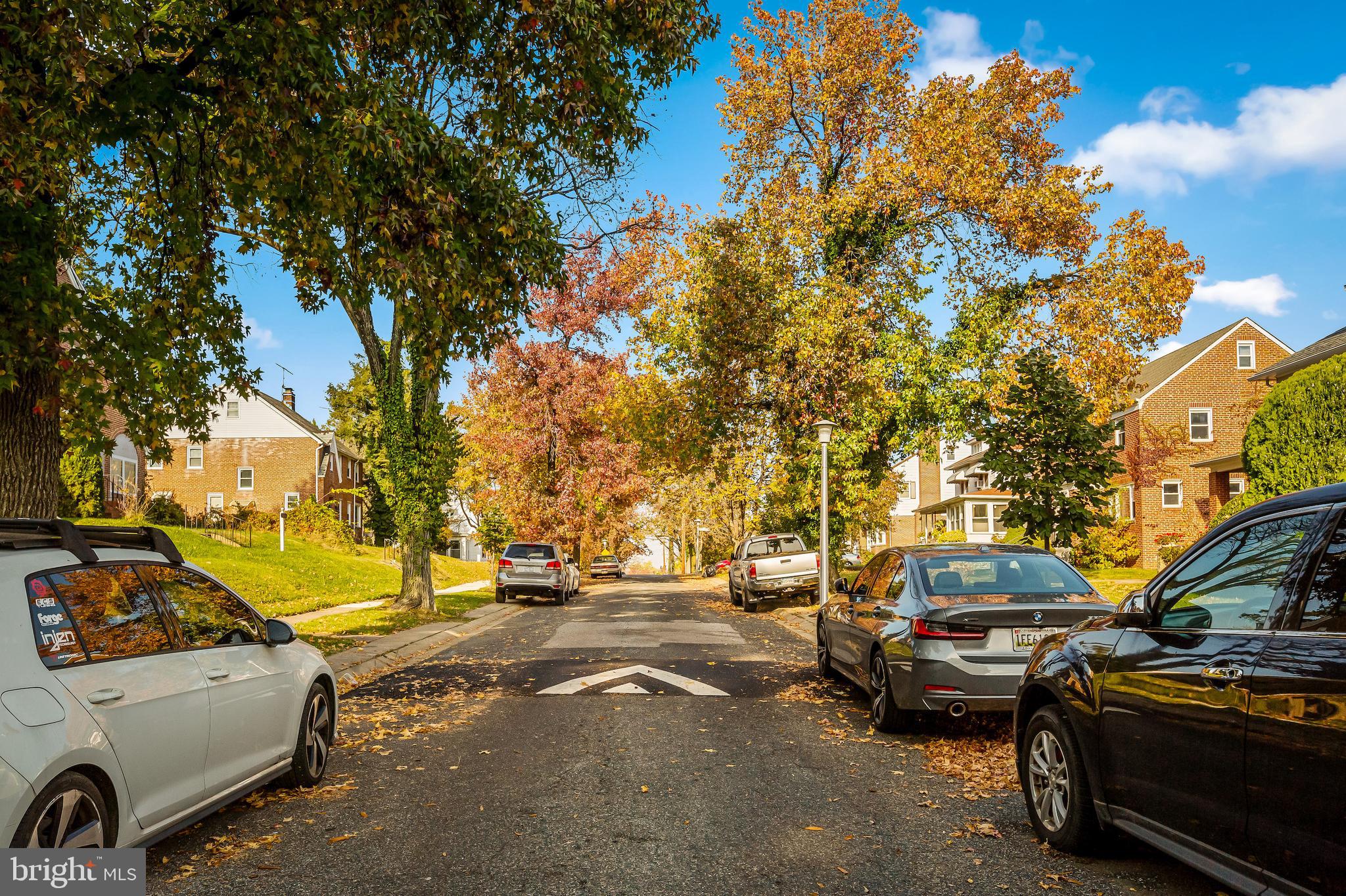 3605 Ellamont Road Baltimore, MD 21215 - Photo 8 of 32 tree lined street with Fall colors