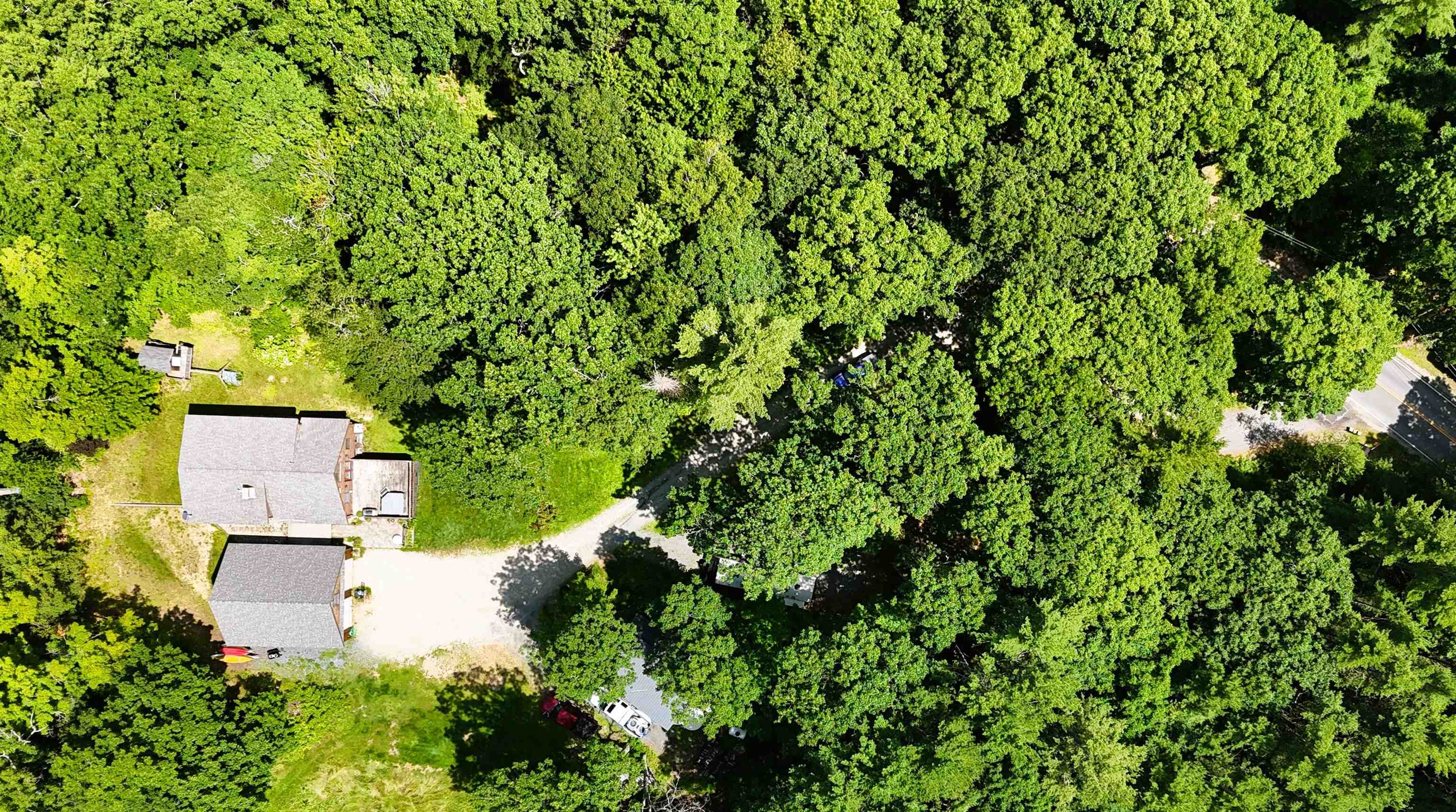 345 Breed Road Harrisville, NH 03450 - Photo 6 of 57