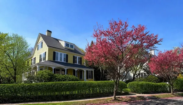 a front view of a house with a tree