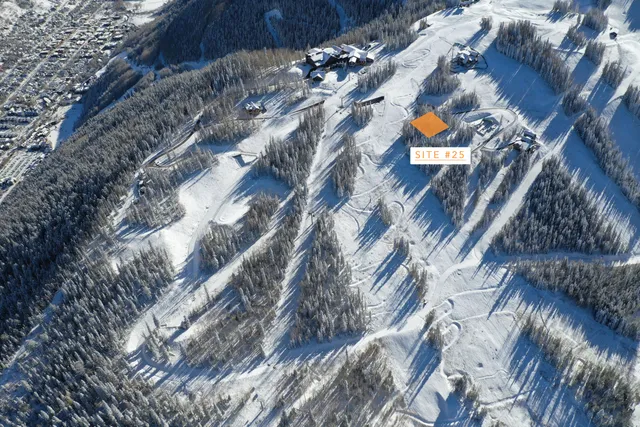 a bird view of house