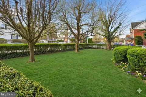 a view of a park with large trees