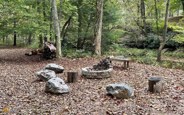a view of a backyard with plants and large trees