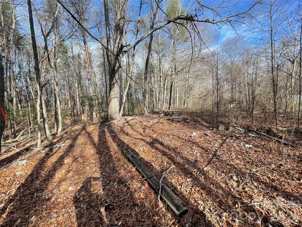 a view of a yard with trees