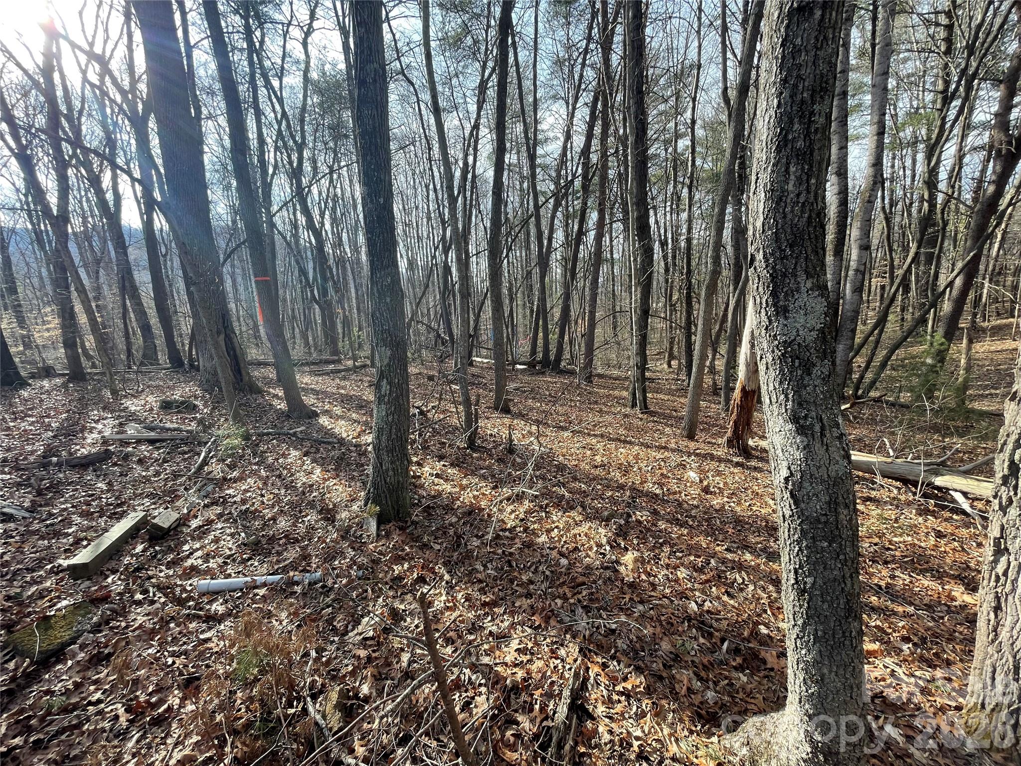 218 Max Metcalf Road Swannanoa, NC 28778 - Photo 3 of 15