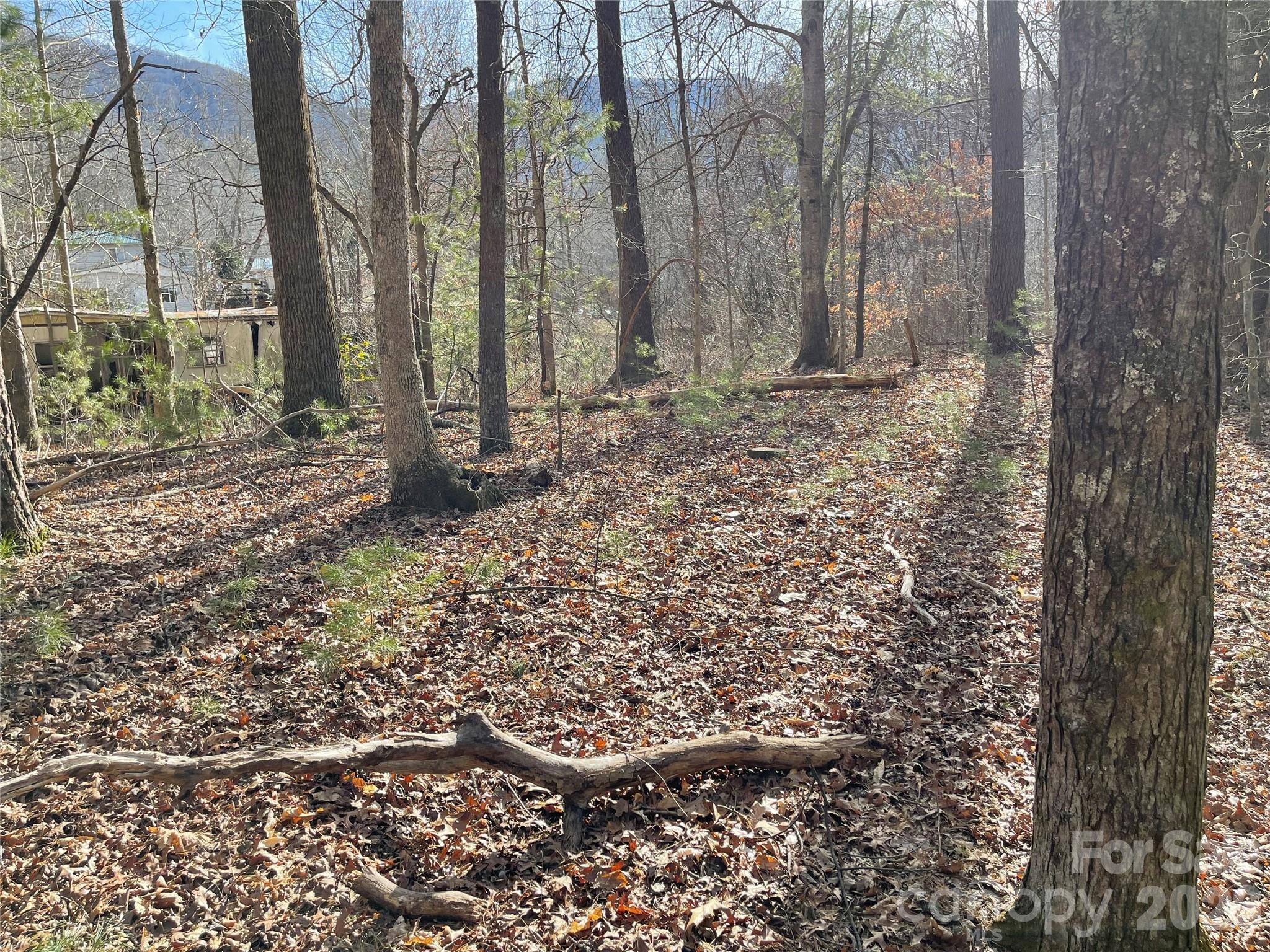 218 Max Metcalf Road Swannanoa, NC 28778 - Photo 5 of 15