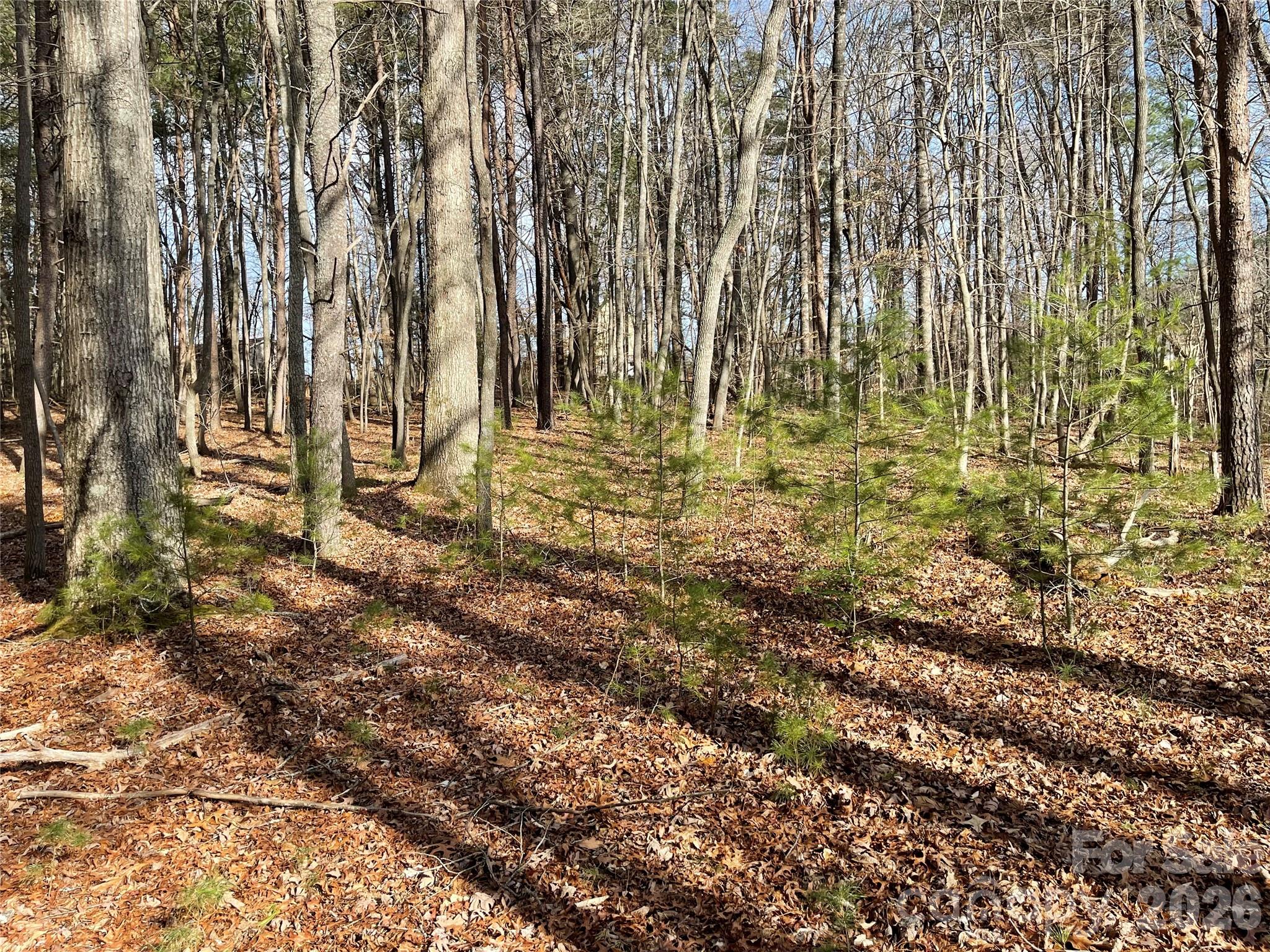 218 Max Metcalf Road Swannanoa, NC 28778 - Photo 6 of 15